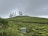 A lush green tea plantation stretches across rolling hills with well-manicured rows of tea bushes. In the foreground, a small metal shed is visible. A line of tall, slender trees stands atop the hill against a backdrop of overcast skies.