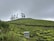 A lush green tea plantation stretches across rolling hills with well-manicured rows of tea bushes. In the foreground, a small metal shed is visible. A line of tall, slender trees stands atop the hill against a backdrop of overcast skies.