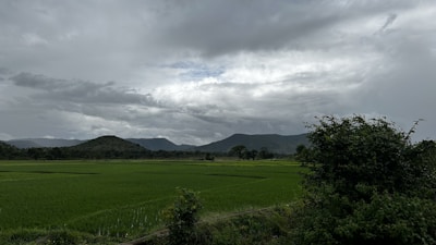 Wide shot of a lush green plot of land in Pune outskirts with hills in the background.