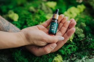 Two hands are gently holding a small dark amber bottle with a dropper cap. The label on the bottle reads 'OM Cannabis ODDCH 20% CBD'. The background consists of lush green moss and foliage, creating a natural and earthy setting.
