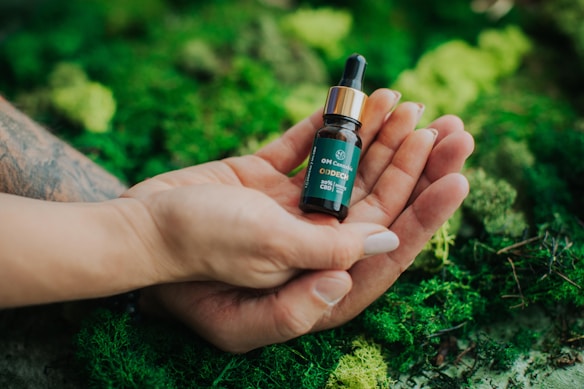 Two hands are gently holding a small dark amber bottle with a dropper cap. The label on the bottle reads 'OM Cannabis ODDCH 20% CBD'. The background consists of lush green moss and foliage, creating a natural and earthy setting.