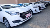 Several white cars are parked in a row on a gravel surface next to a beige wall. The cars appear to be in good condition, and the front car has a noticeable logo and a license plate with 'Patricia' written on it.