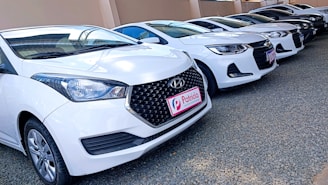 Several white cars are parked in a row on a gravel surface next to a beige wall. The cars appear to be in good condition, and the front car has a noticeable logo and a license plate with 'Patricia' written on it.