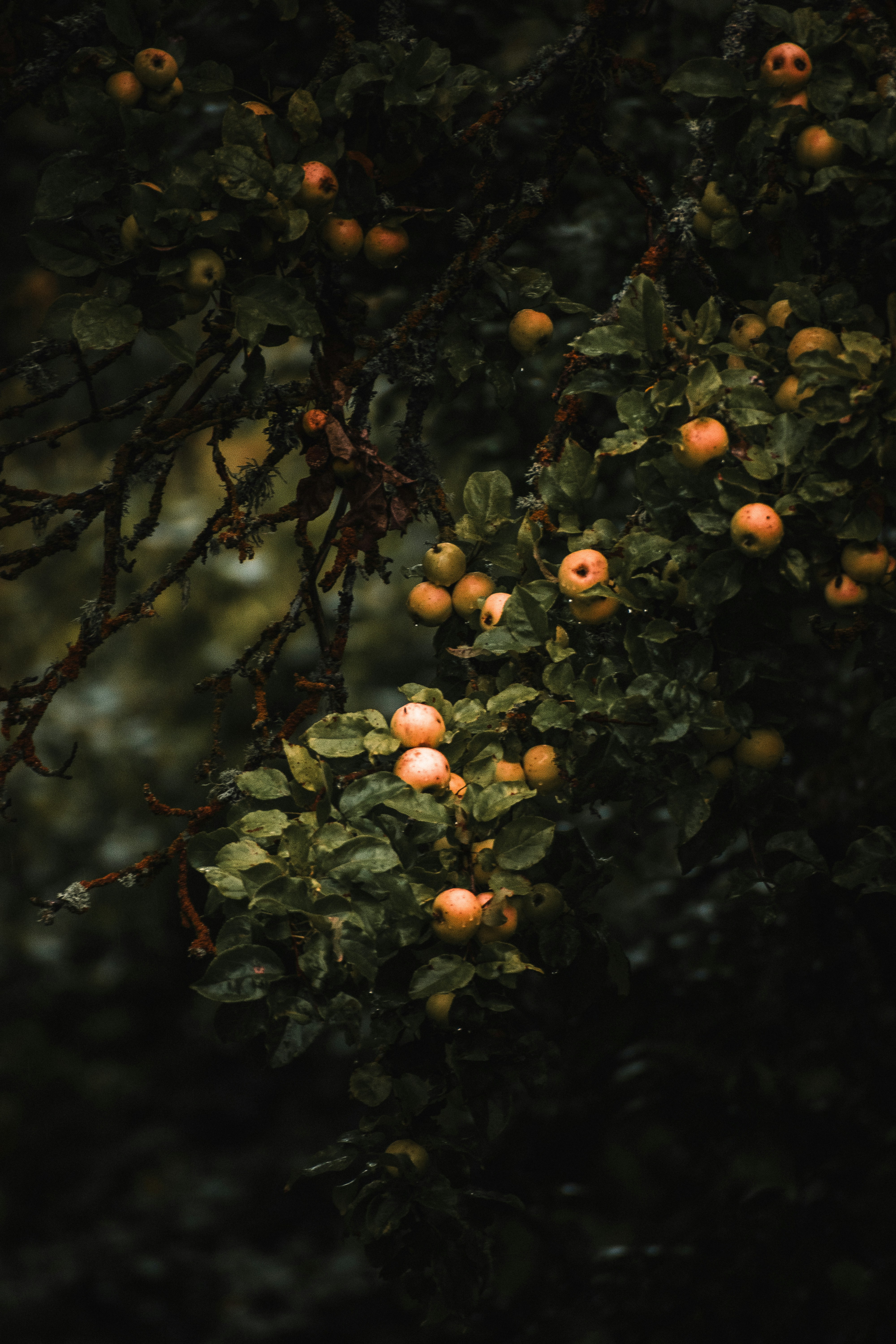 Photo by christina_kozak