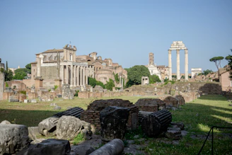 Ancient Roman ruins surrounded by lush vineyards under a clear blue sky.