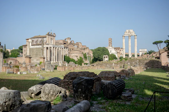 Ancient Roman ruins surrounded by lush vineyards under a clear blue sky.