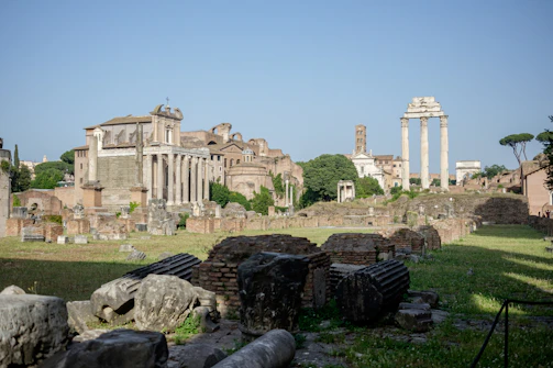 Ancient Roman ruins of Timgad surrounded by lush greenery on a clear day.