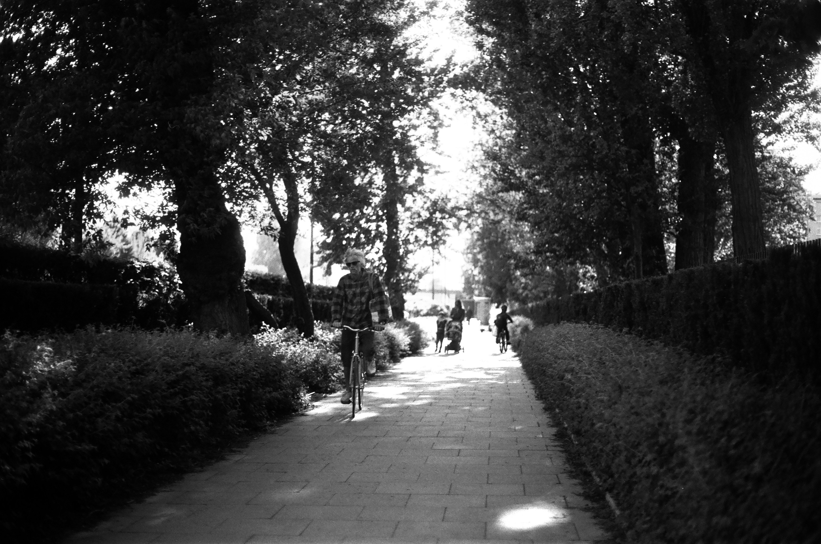 Photo by olenkasergienko