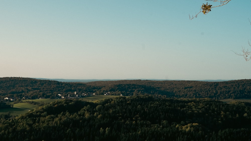 a scenic view of a valley with trees in the foreground