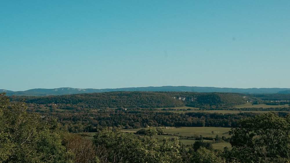 a scenic view of a valley with mountains in the distance