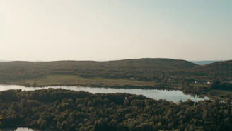A serene landscape showing a river flowing through a green forest under a clear blue sky.