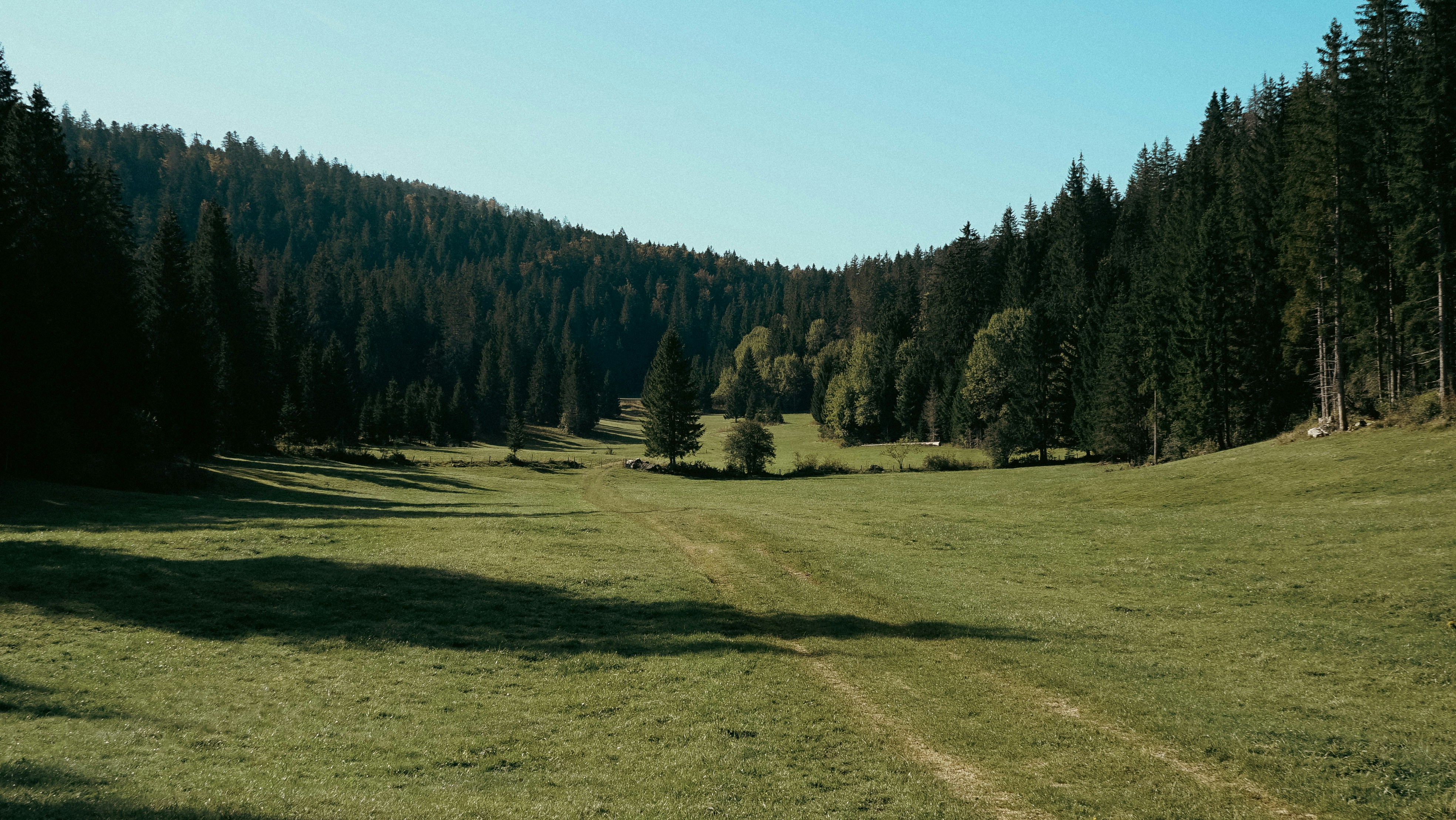 Photo by baikal