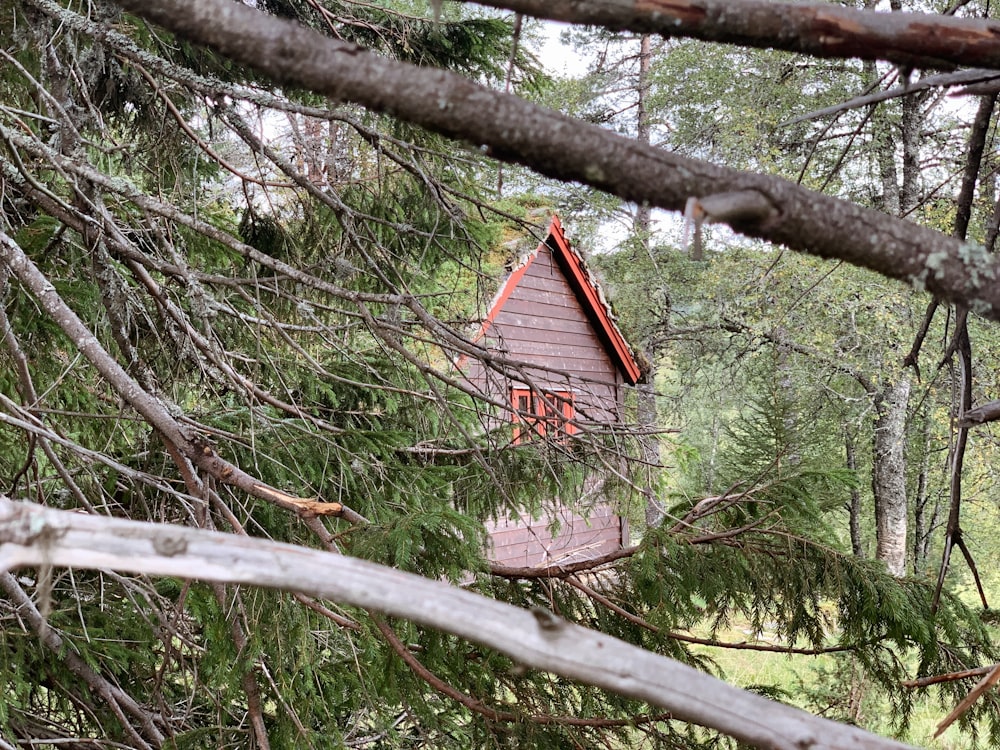 a cabin nestled in the trees in the woods