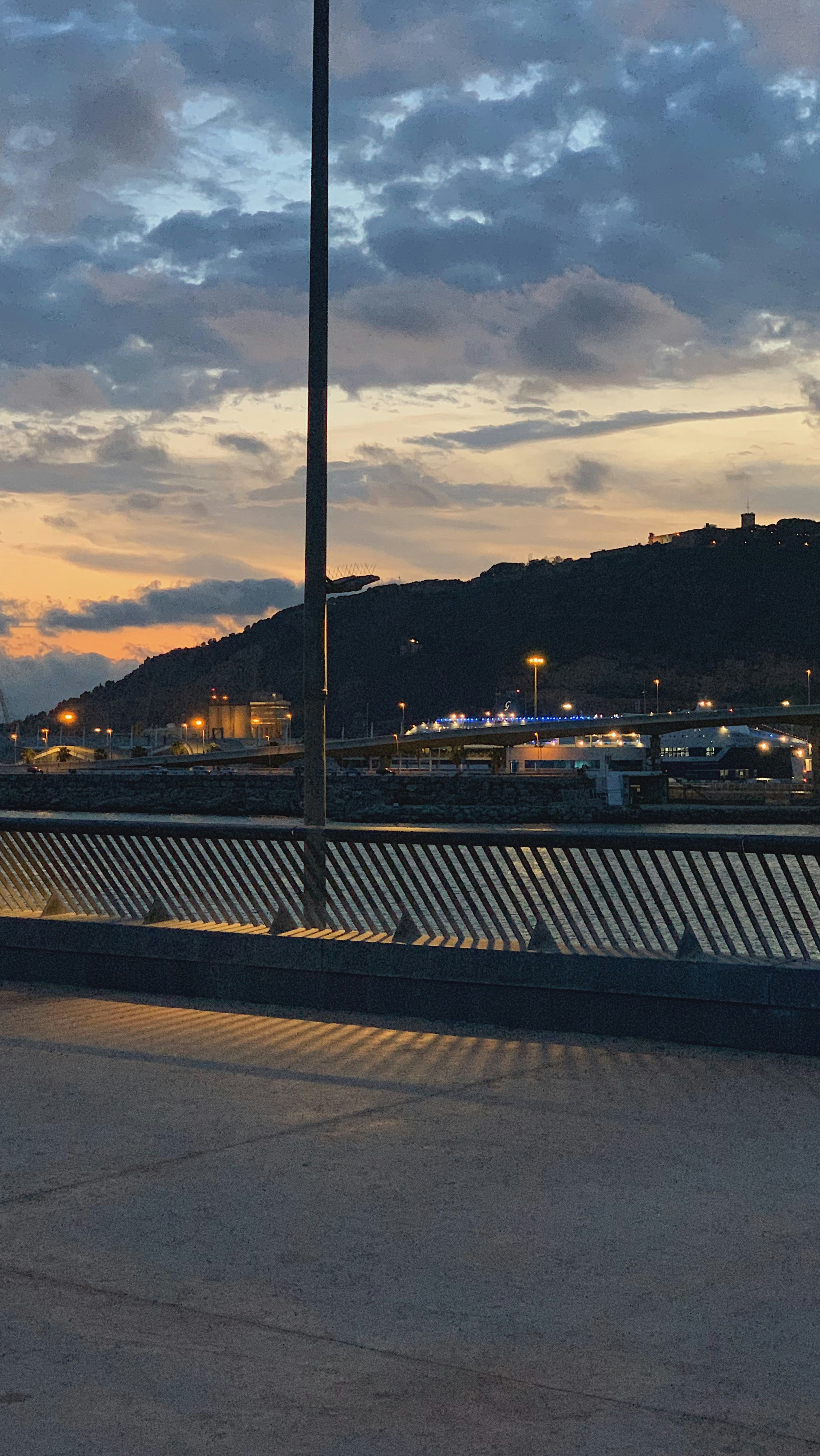 uma pessoa andando de skate em uma ponte