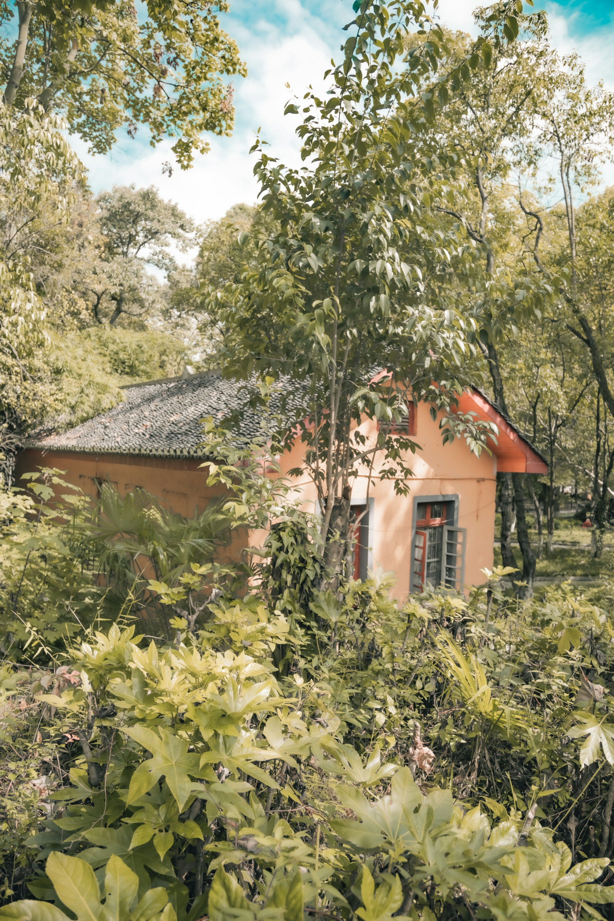 Photo by yokonoito0512