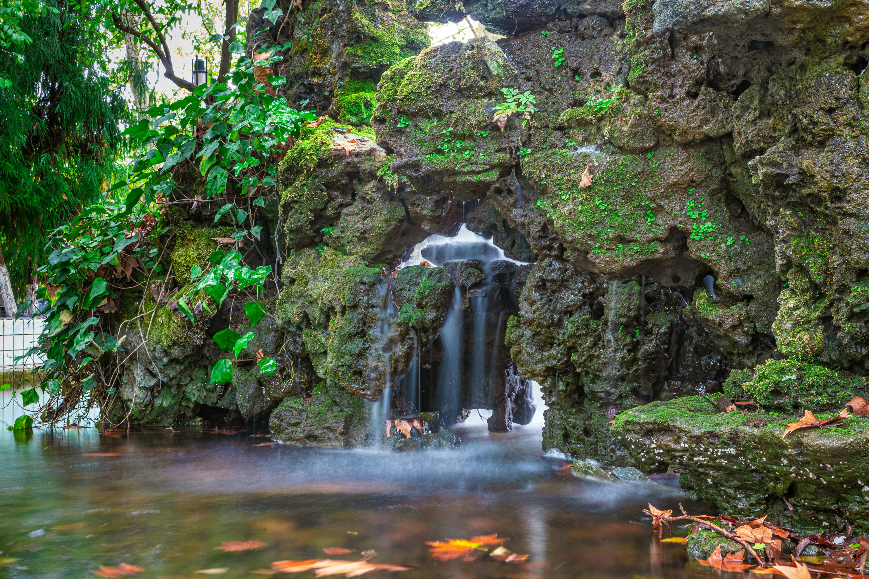 Photo by yokonoito0512