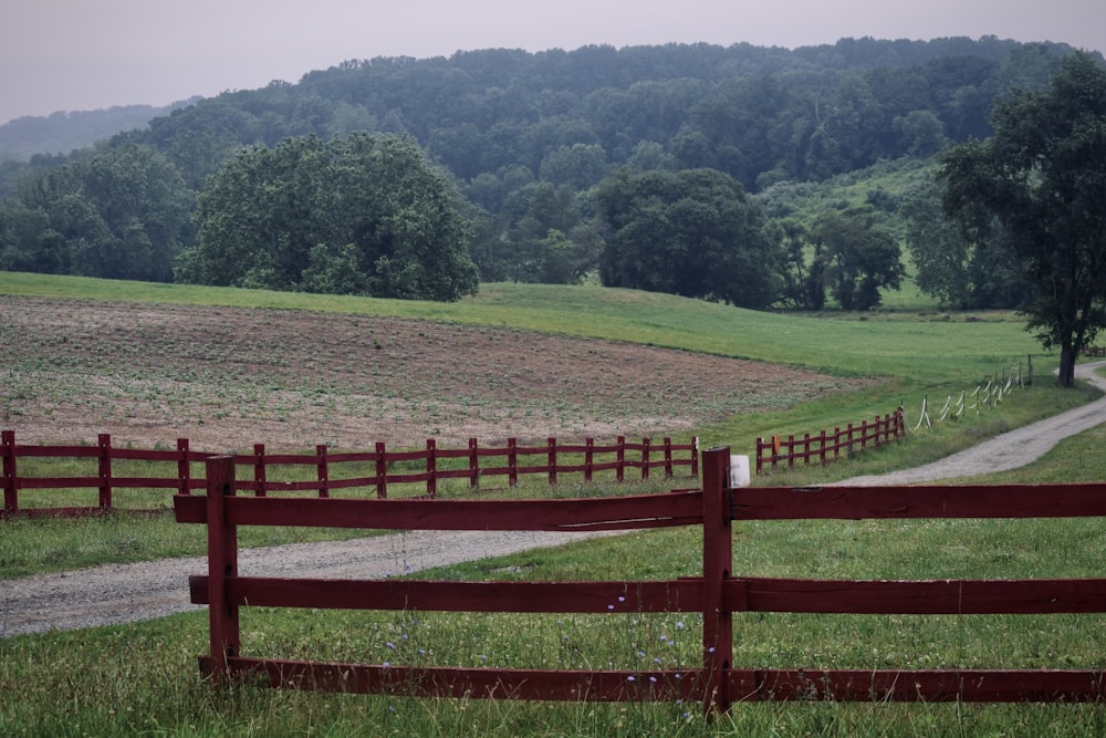 a red fence in front of a grassy field