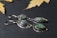 Two pairs of silver earrings set with green and iridescent stones are displayed on a dark textured background. The metal has a delicate, handcrafted look, and the stones are polished smooth, offering an elegant appearance. Yellow maple leaves are scattered in the blurred background, adding a natural touch to the composition.