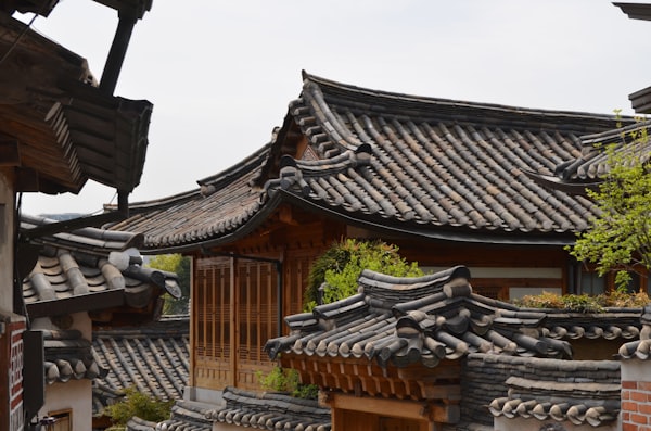 Hidden Saju Master in Old Seoul Alley 4