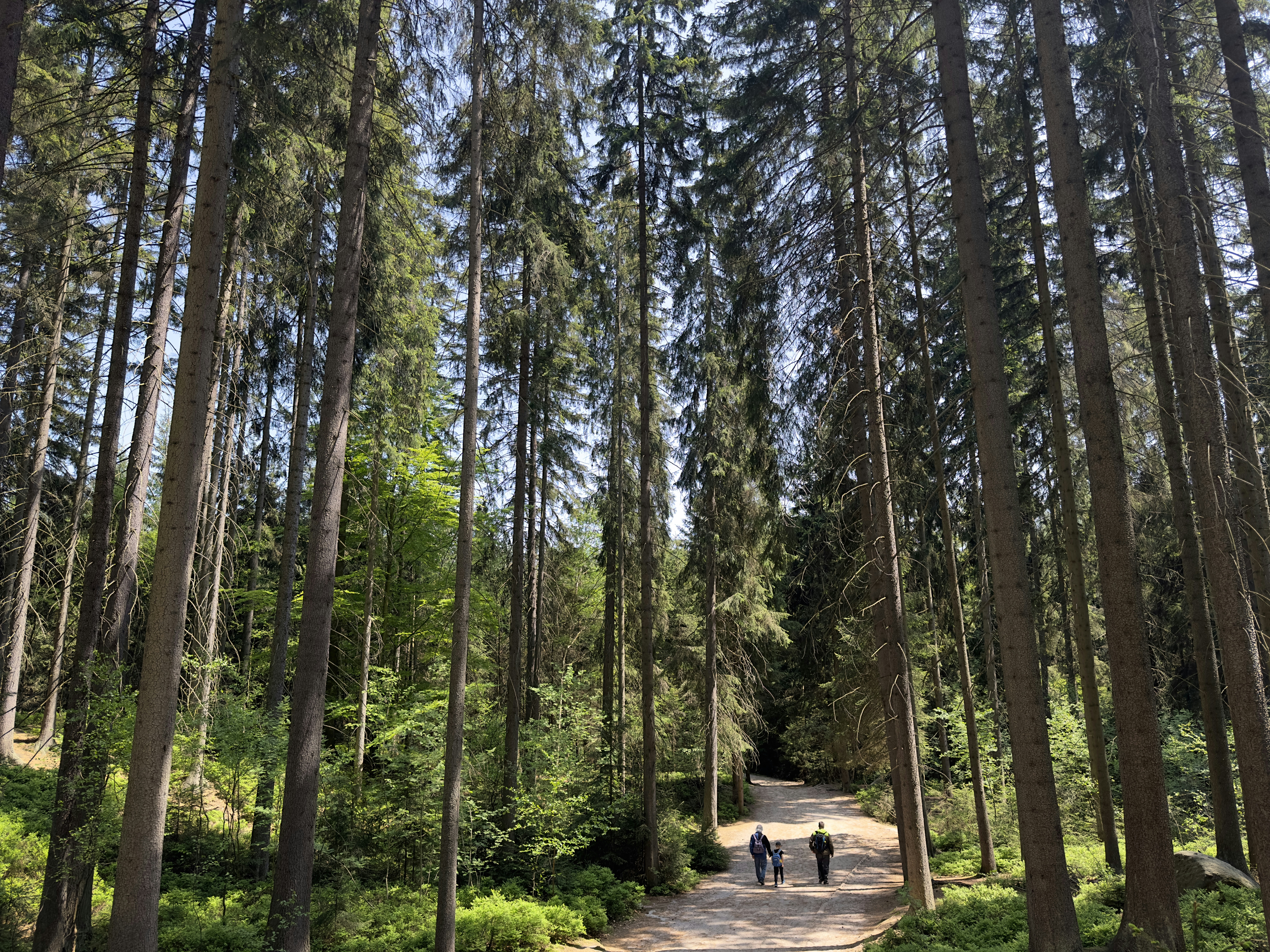 Photo by vladyslavtrai