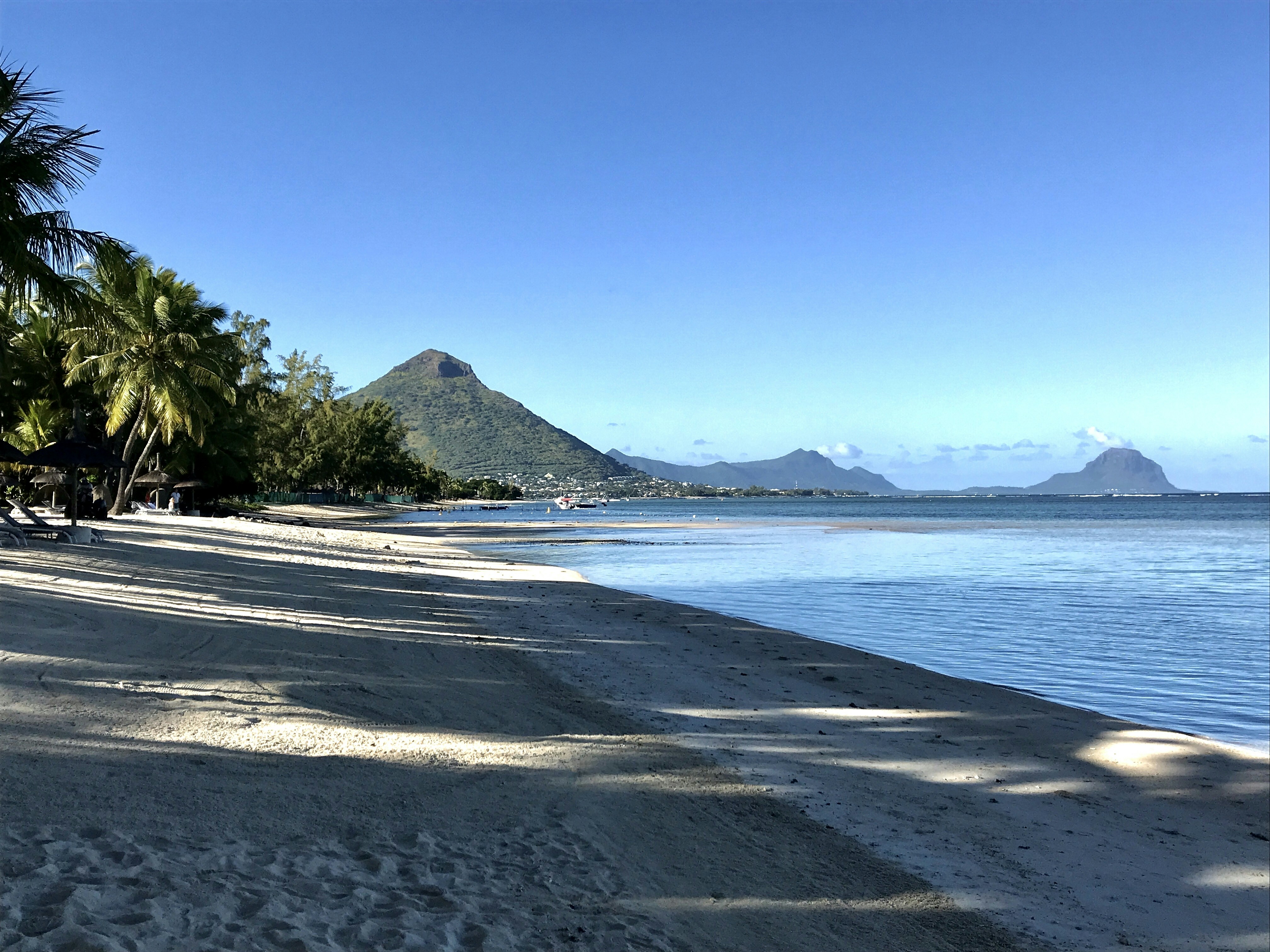 a sandy beach with palm trees and mountains in the background