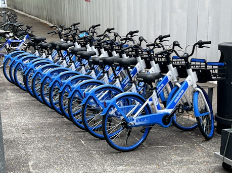 A row of blue and white rental bicycles are neatly parked in a designated area alongside a pathway. Each bike features a basket, handlebars, and a seat, aligned uniformly. The area is concrete-paved, with a metallic fence running parallel to the row of bicycles.