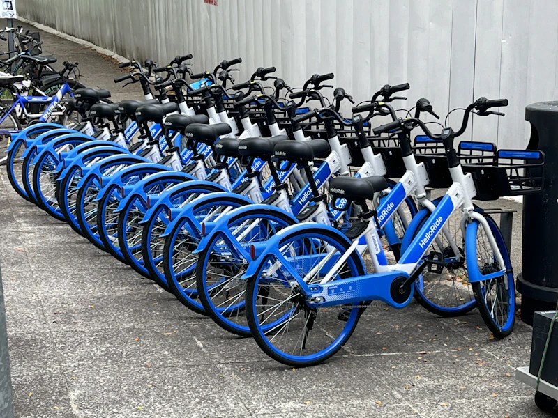Day pass e-bike rental
