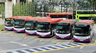a group of buses parked next to each other in a parking lot