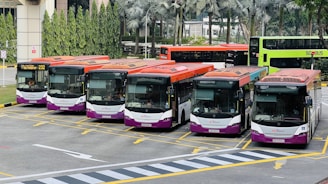 a group of buses parked next to each other in a parking lot