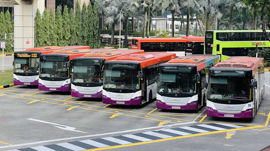 a group of buses parked next to each other in a parking lot