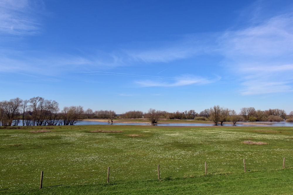 a grassy field with a lake in the background