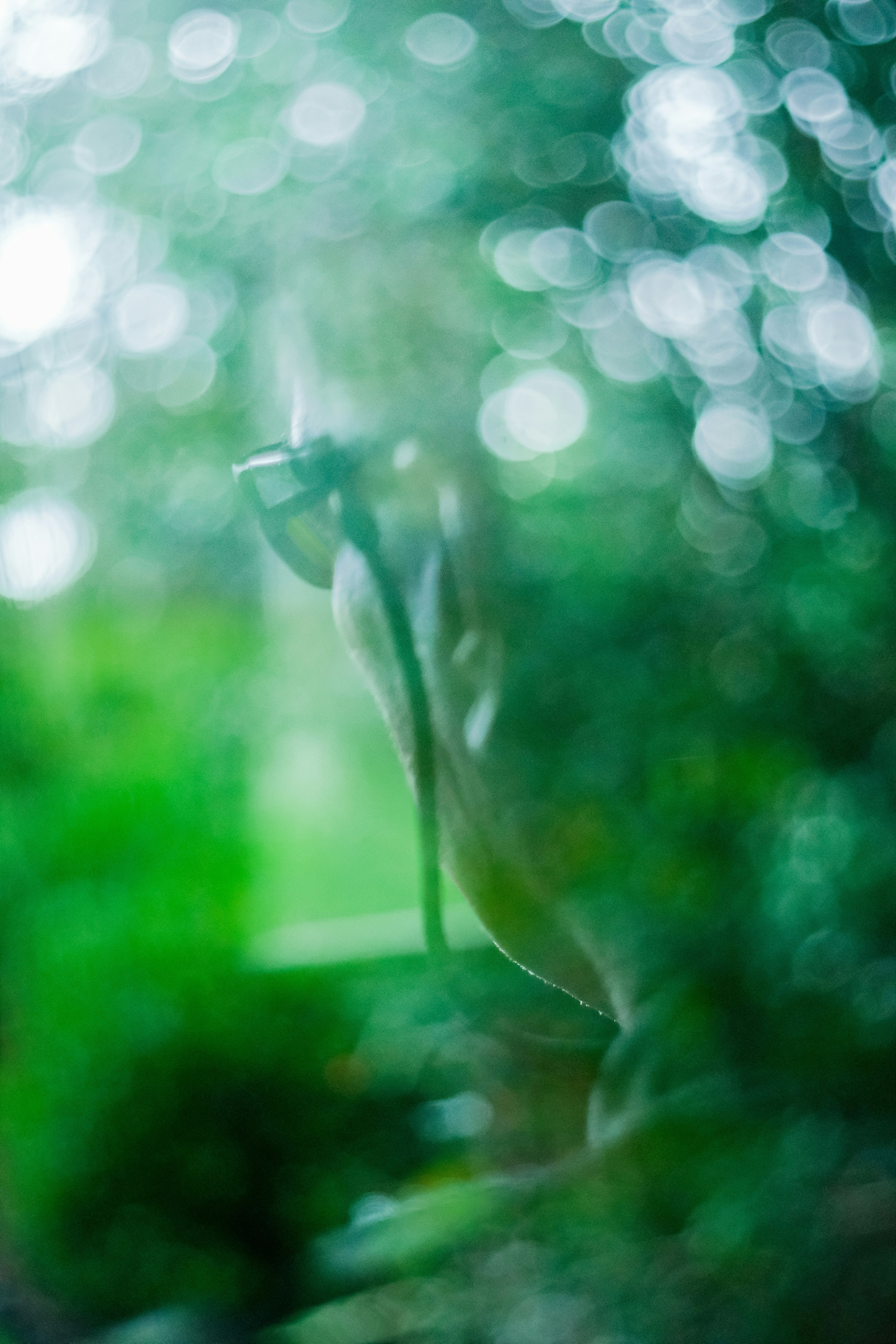 Photo by cestmoisheedy