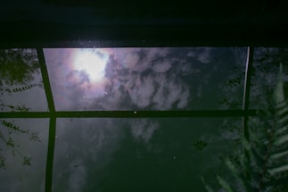 Reflection of a cloudy sky and the sun on a dark water surface framed by foliage and branches. Structural lines are also visible, possibly from a window or similar framework.