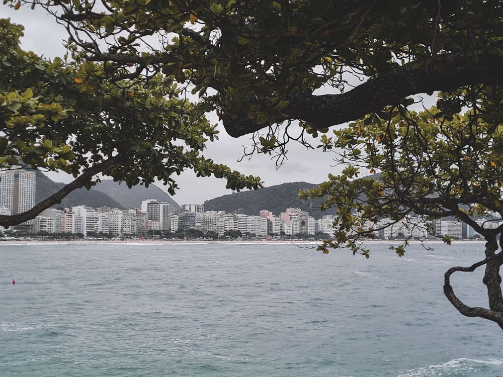 a body of water with a city in the background