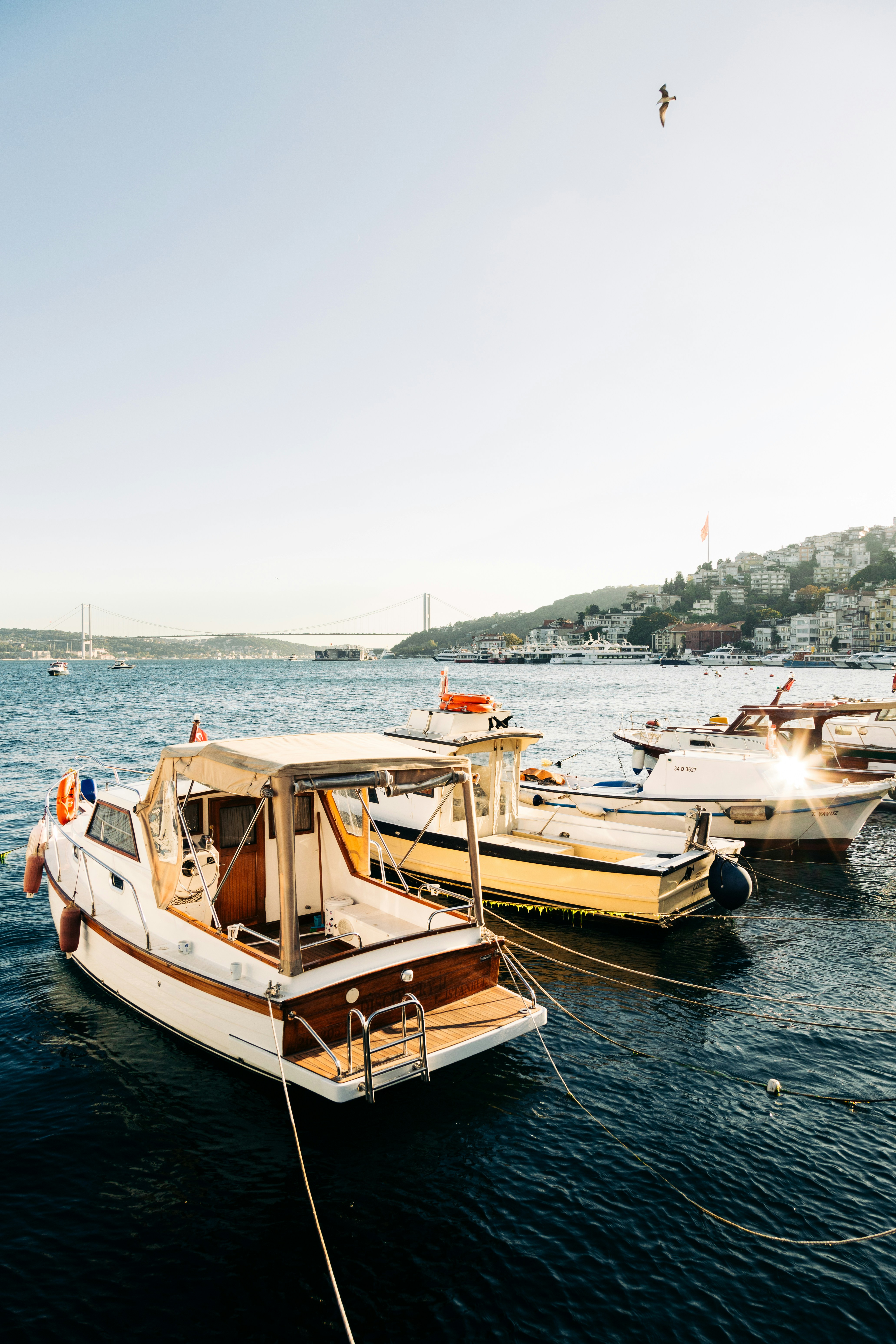 Photo by nikita_pishchugin