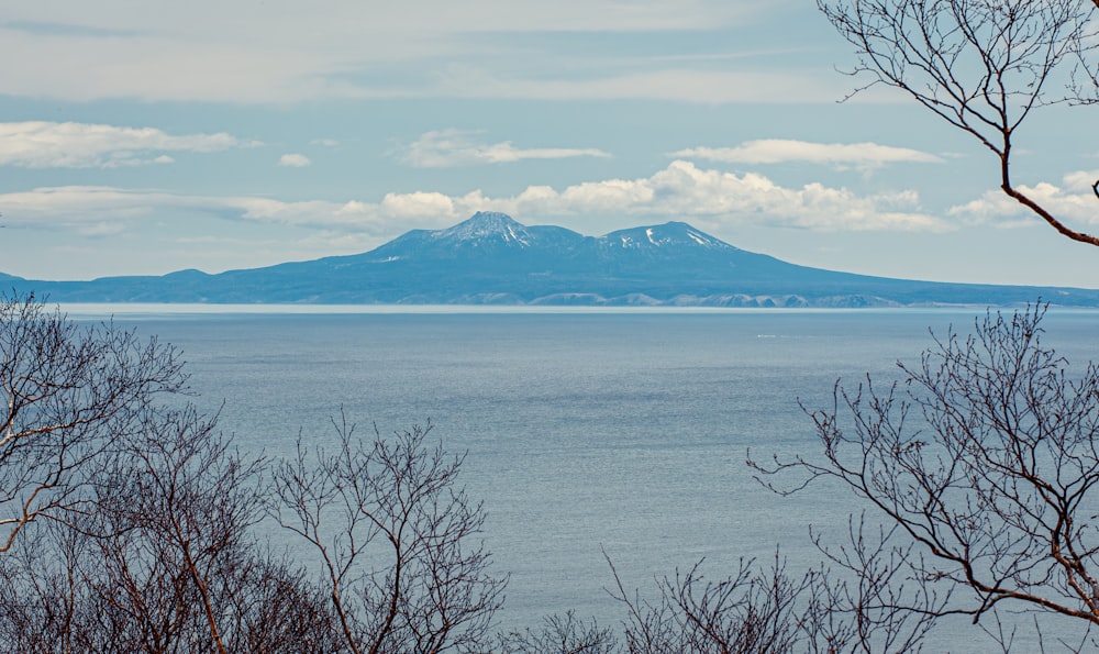 a large body of water surrounded by trees