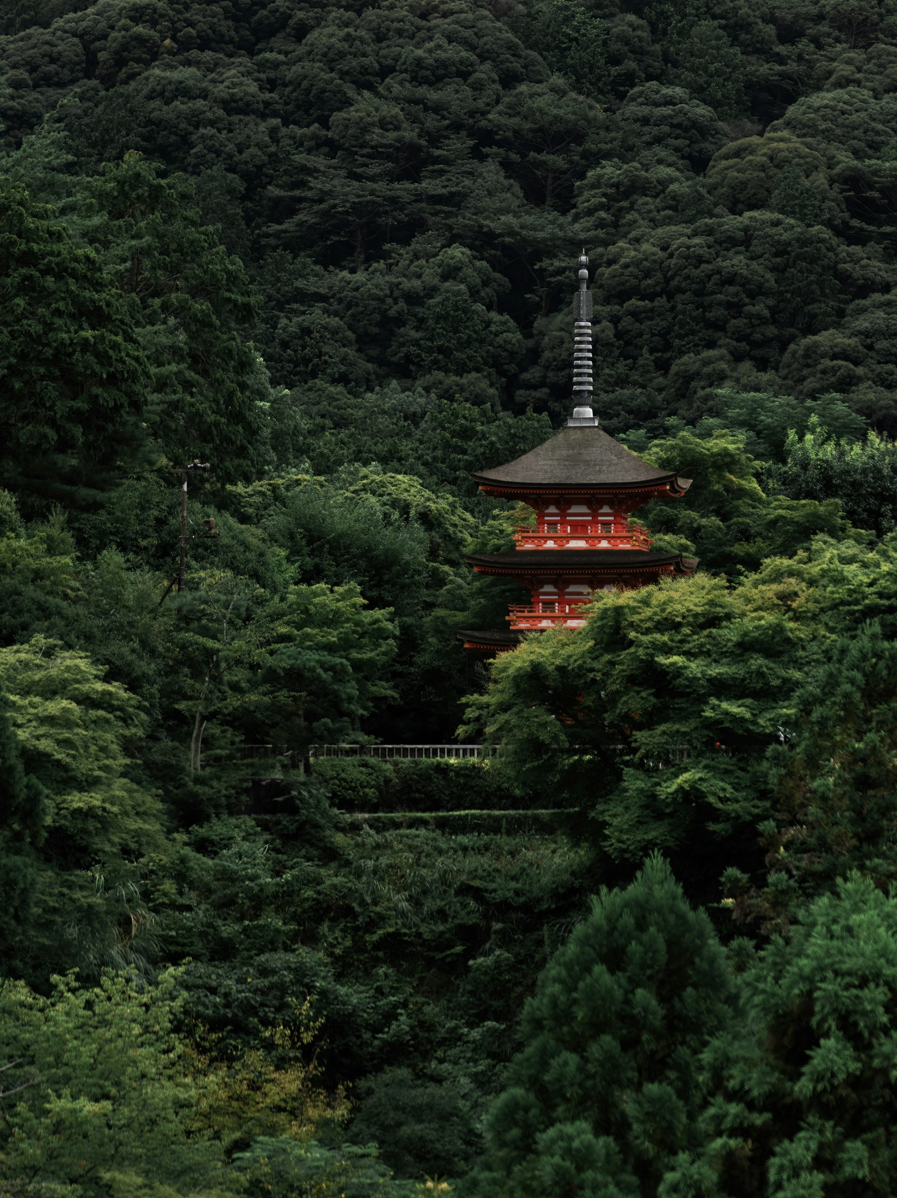 Peaceful Japanese temple retreat in nature