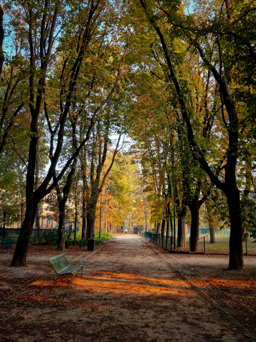 a bench sitting in the middle of a park