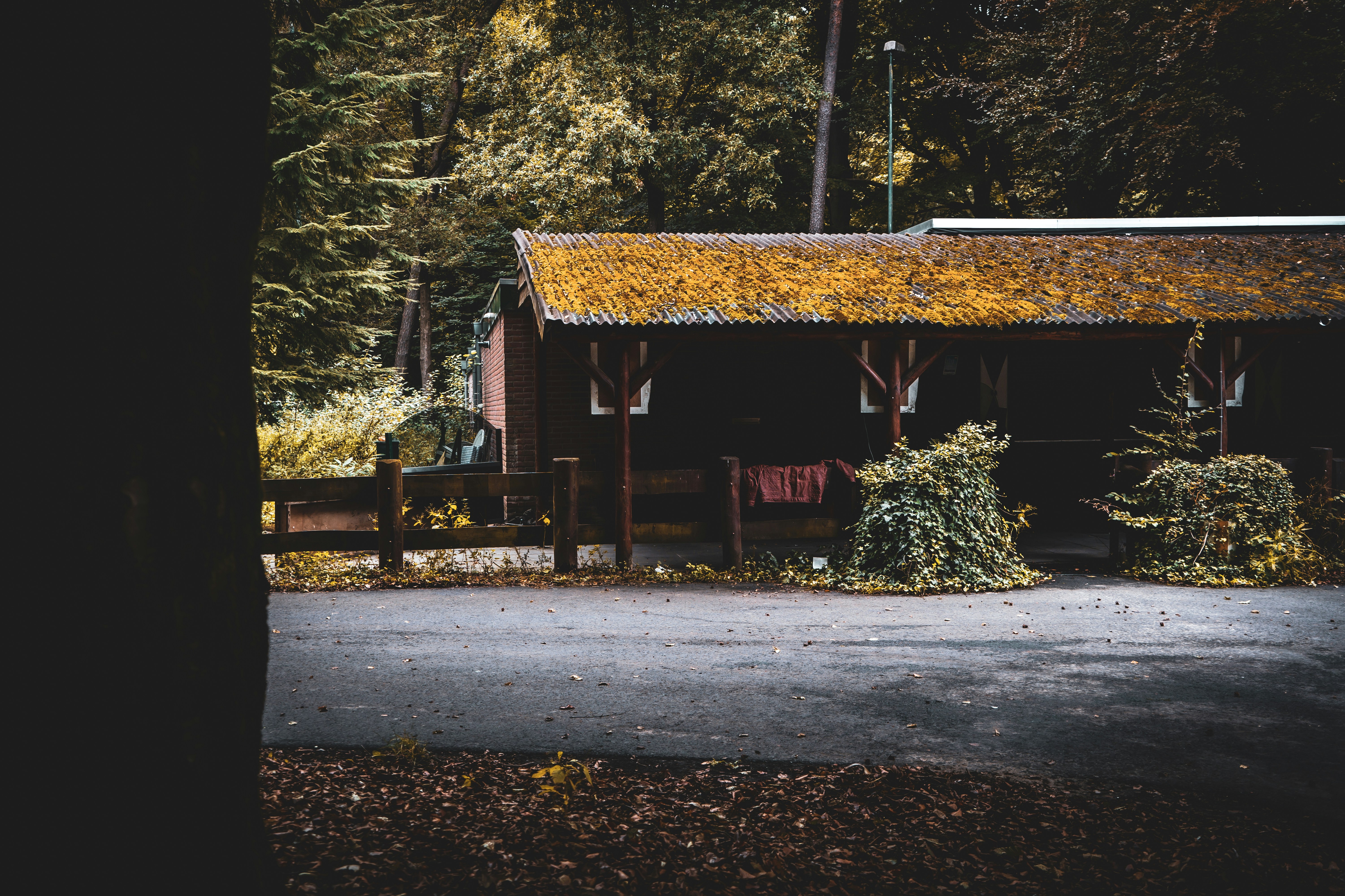 Photo by theboygrammy