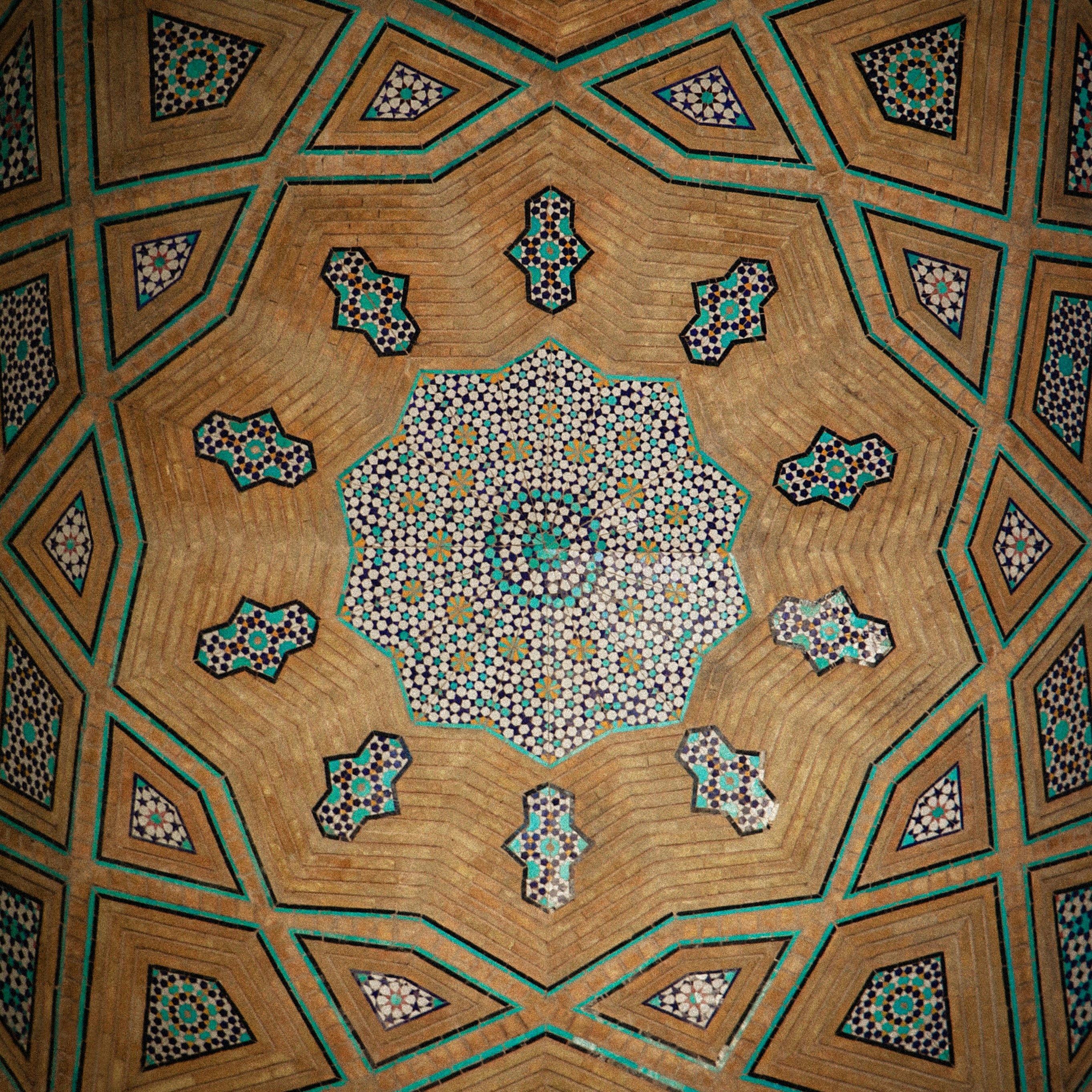 Photo by _alipilevar