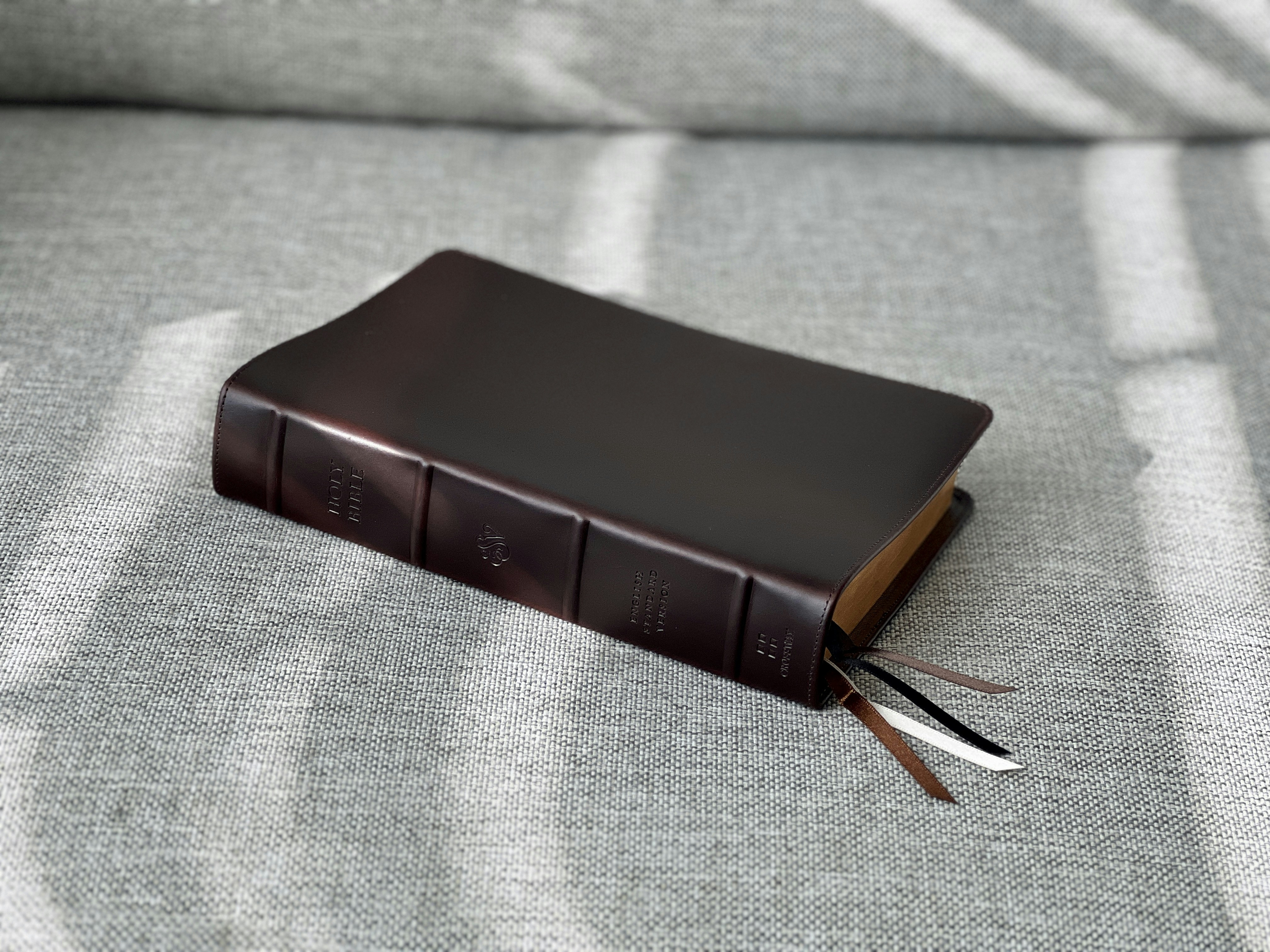 Epopが1年続いている件