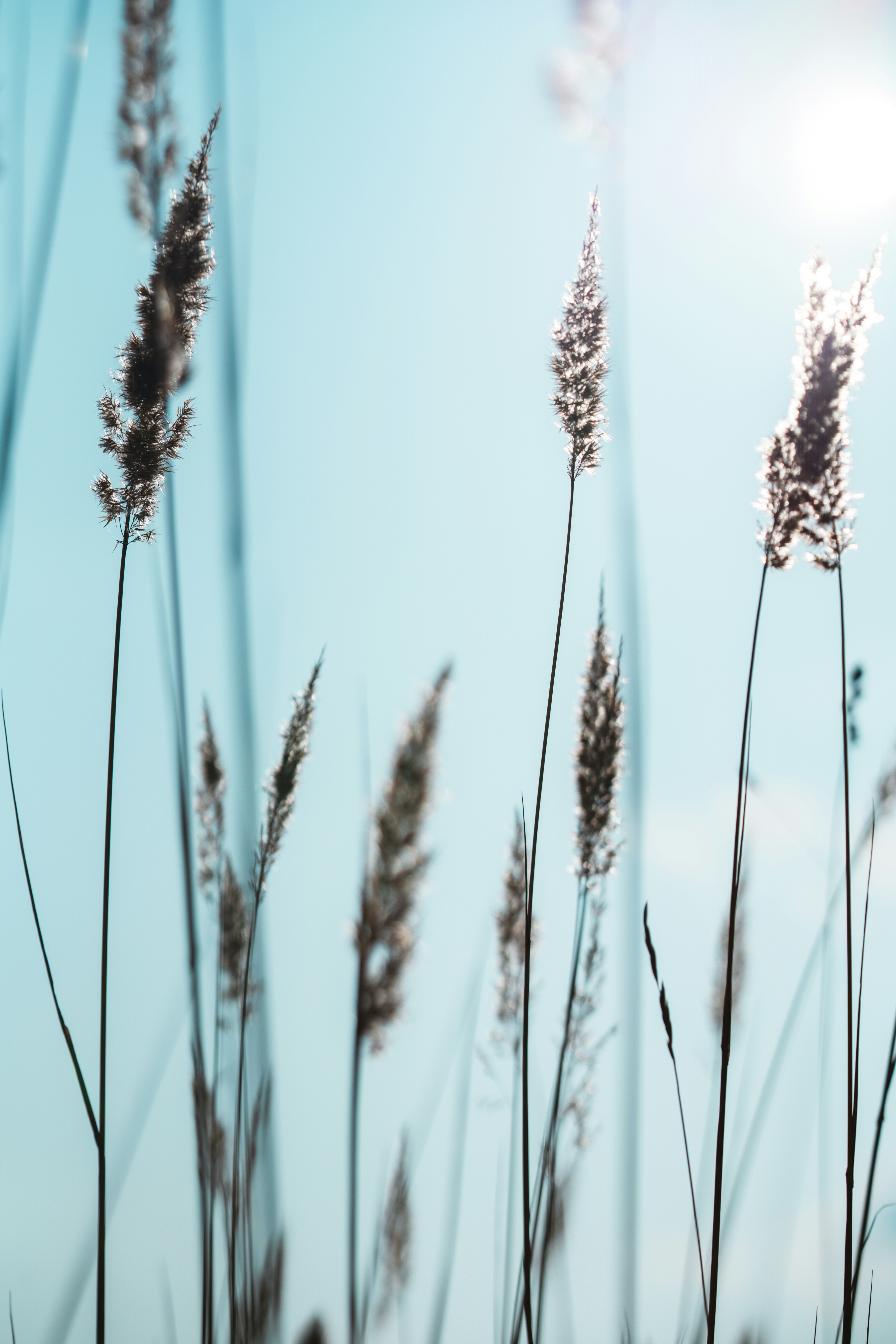 Photo by anamnesis33