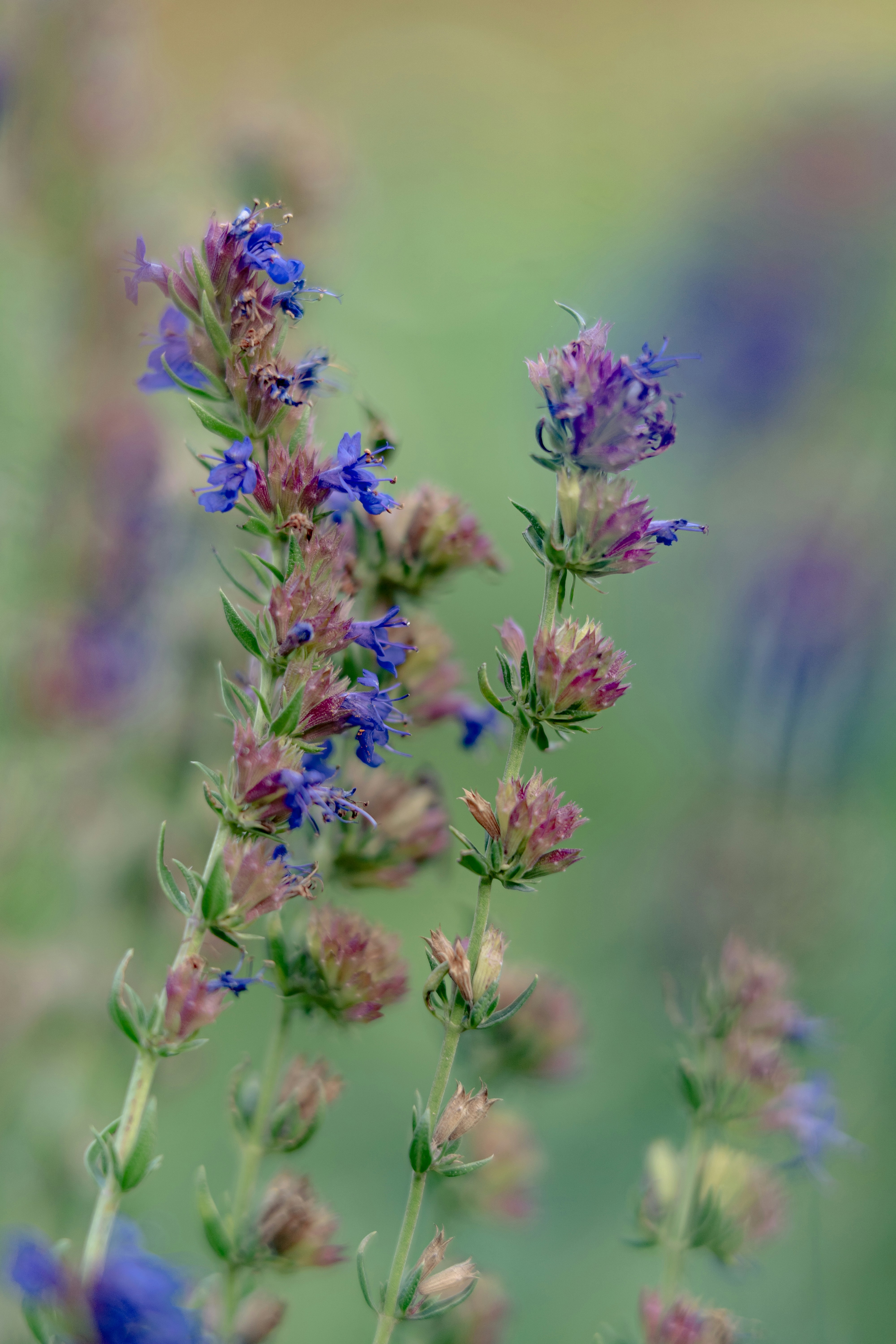 Photo by anamnesis33