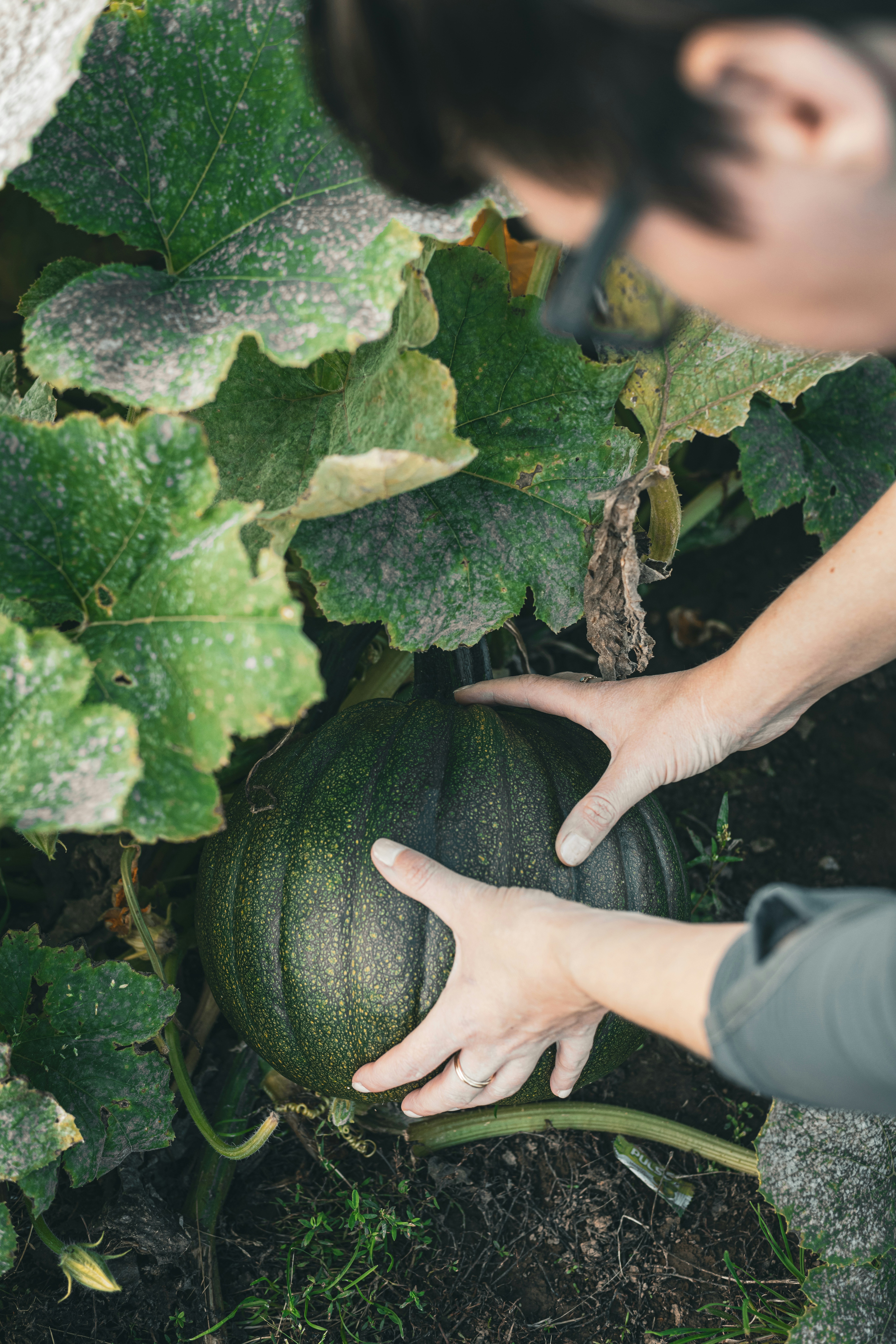 Photo by fotoinshadows