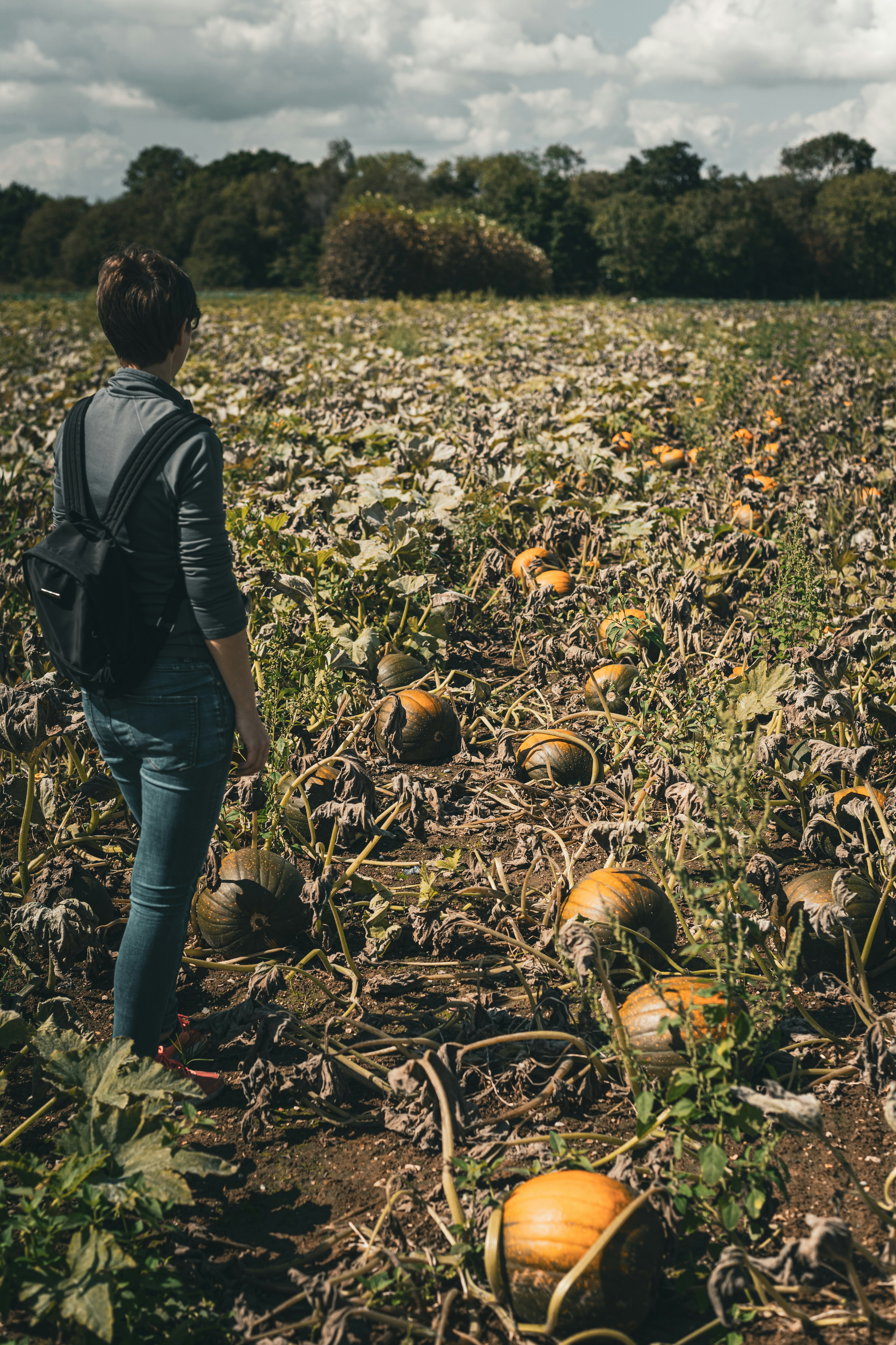 Photo by fotoinshadows