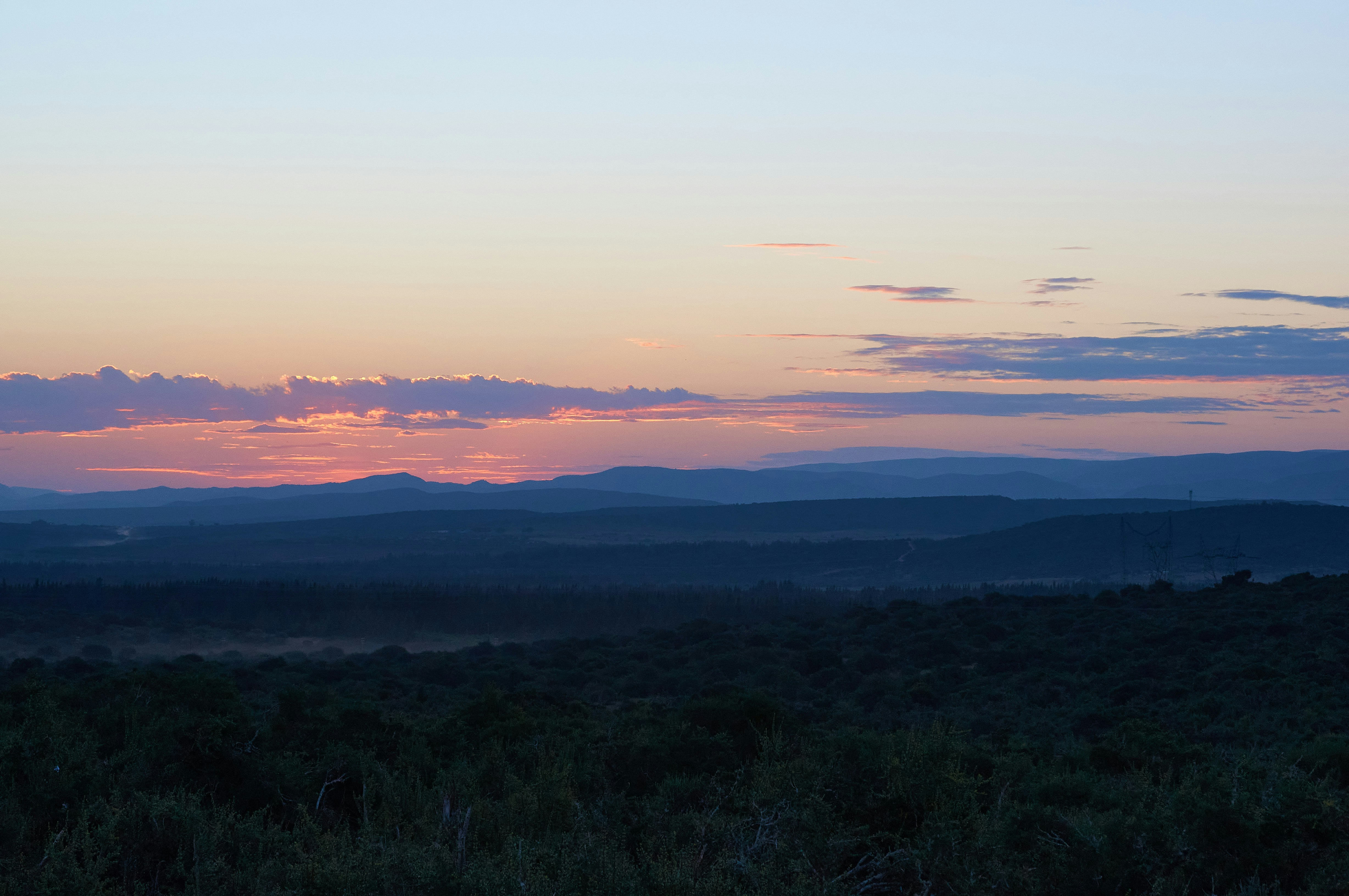 Photo by wolfgang_hasselmann