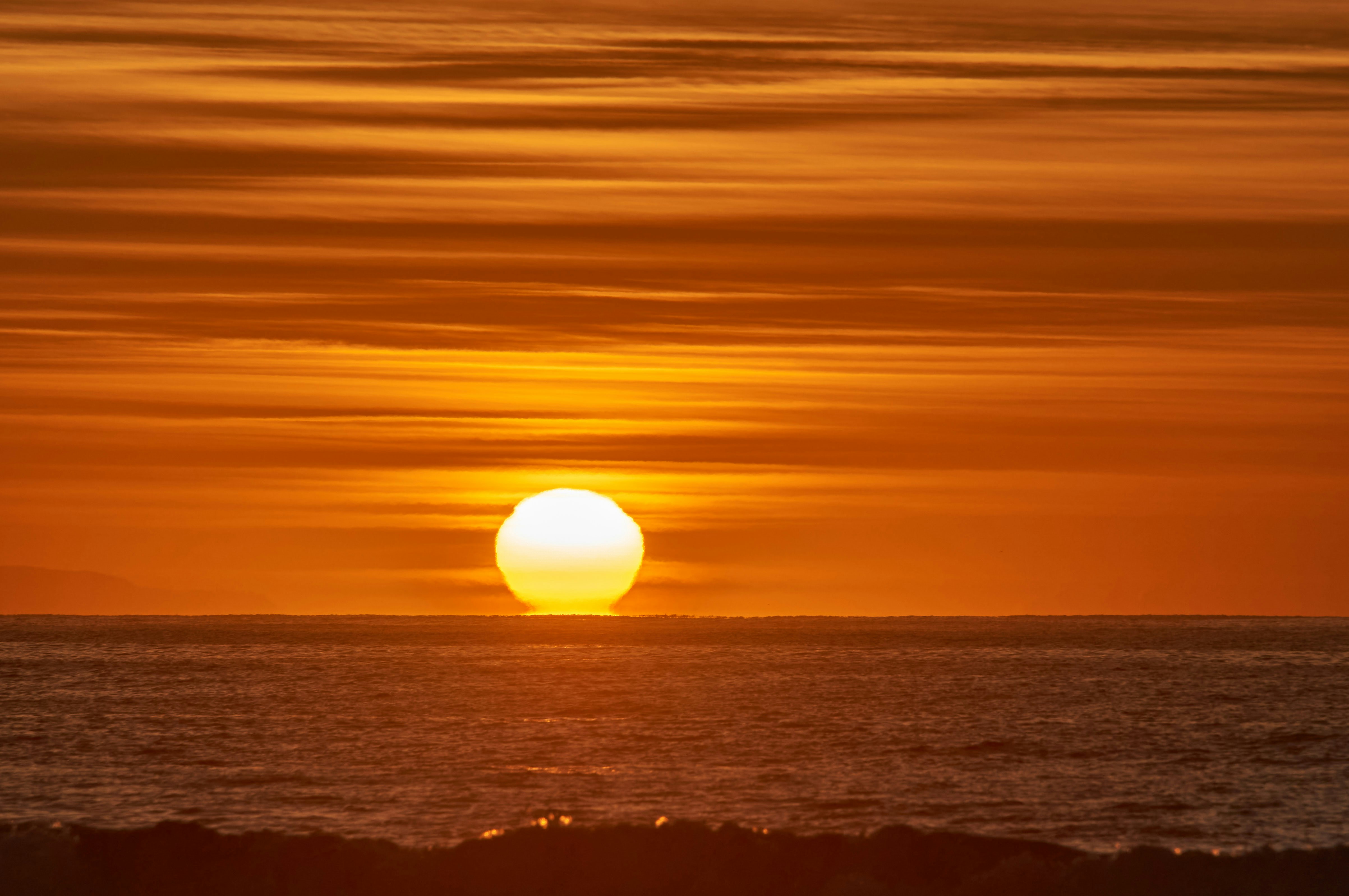 Photo by wolfgang_hasselmann