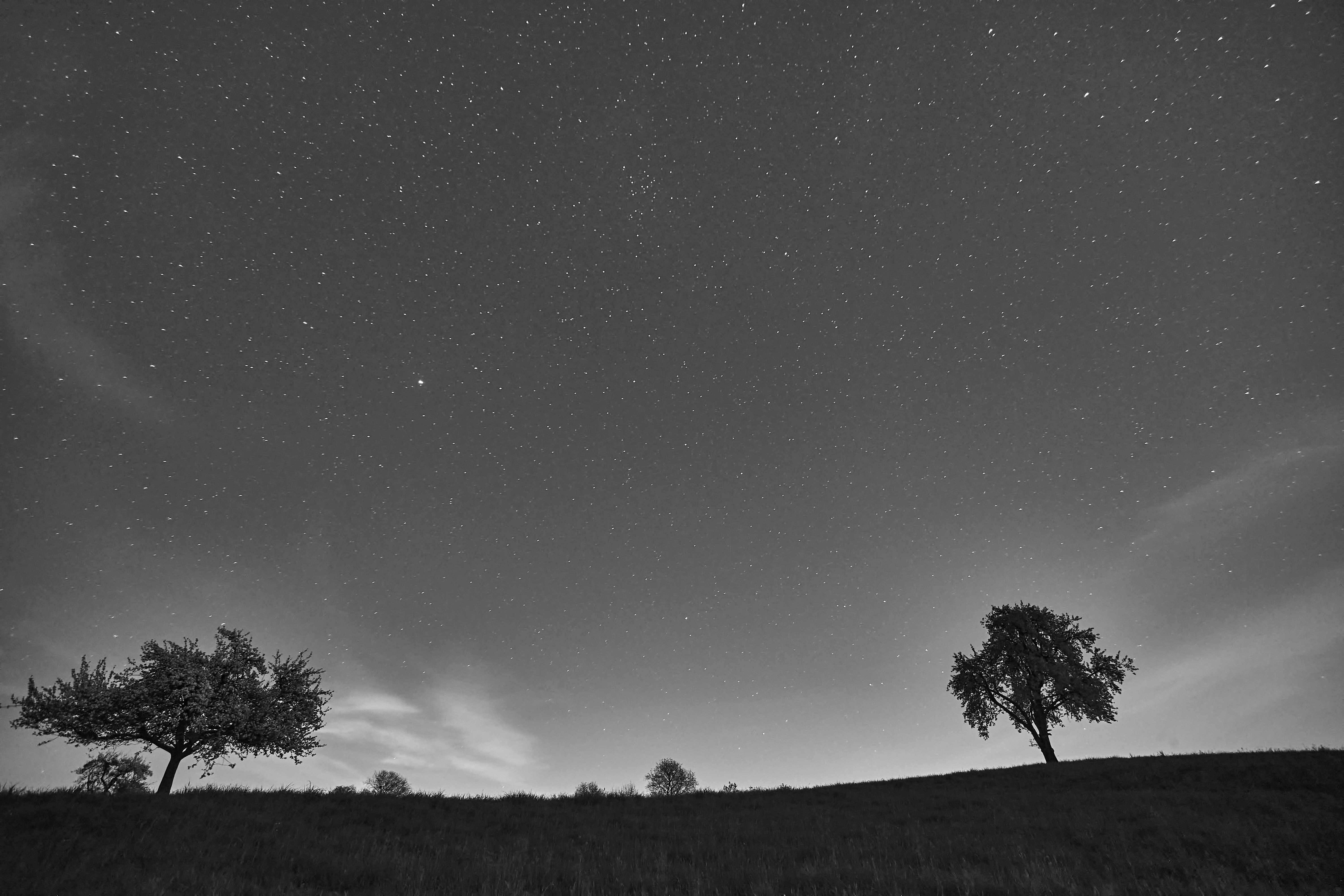 Photo by wolfgang_hasselmann