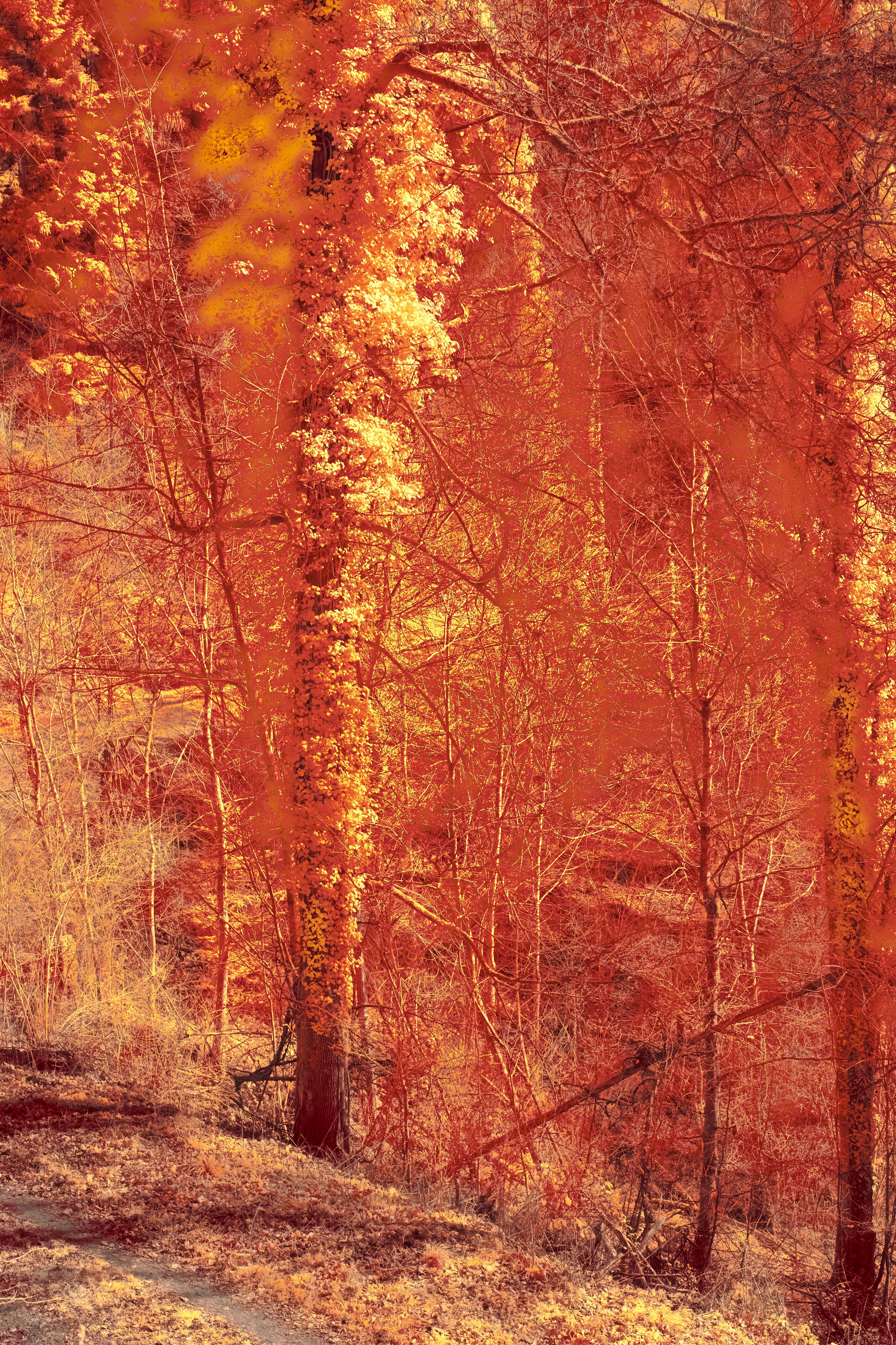 Photo by wolfgang_hasselmann