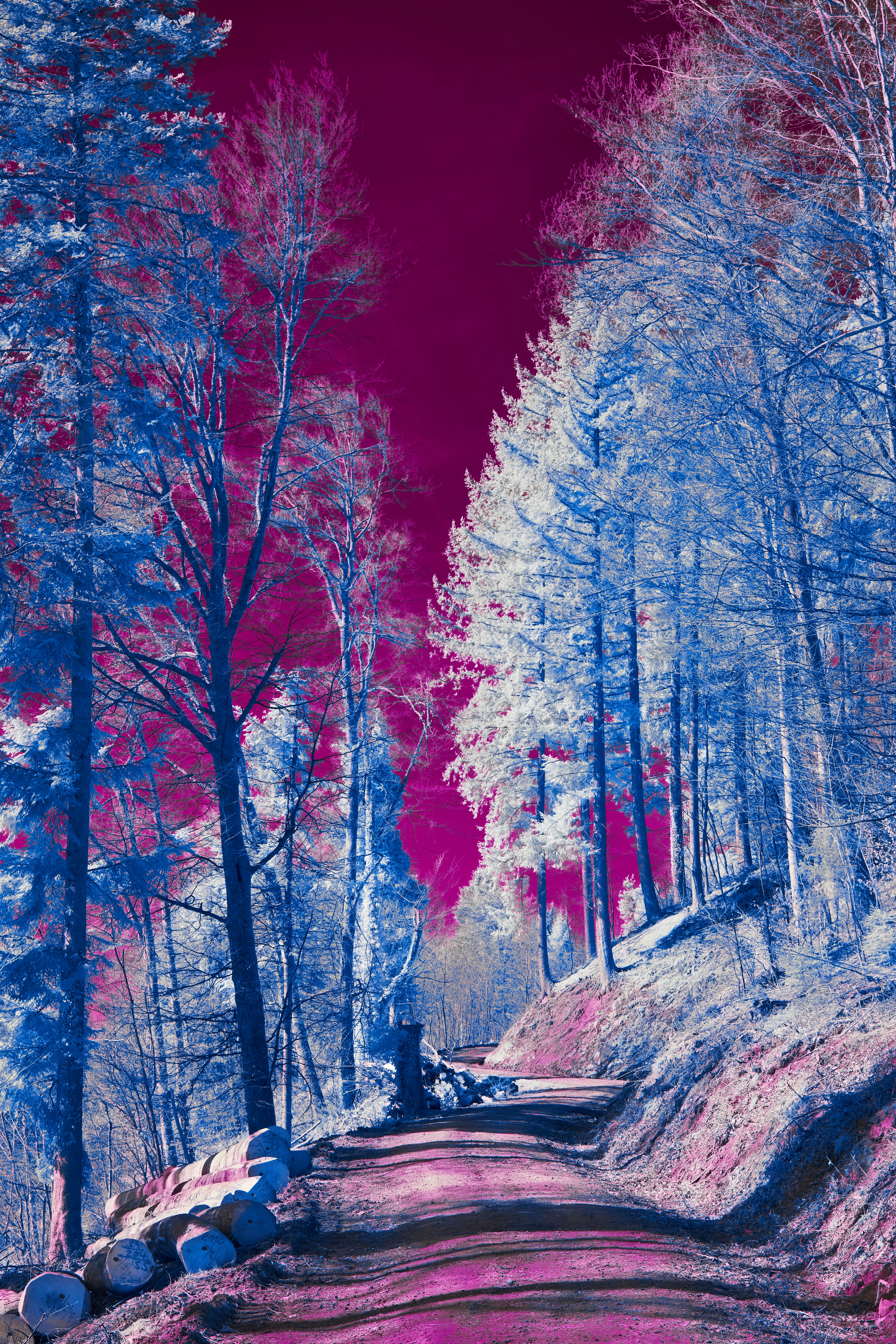 Photo by wolfgang_hasselmann